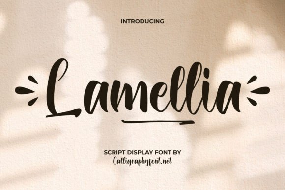 Bringing a Cheerful Vibe to Your Projects with Lamellia