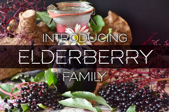 Elderberry: A Creative Font for Modern Designers